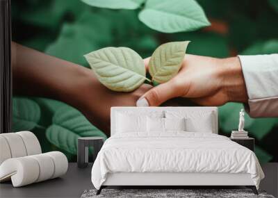 Two hands holding a green leaf, symbolizing connection and nature. Wall mural