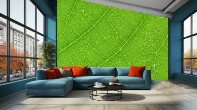 Green leaf texture for pattern and background Wall mural