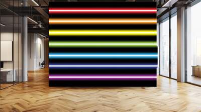 horizontal rainbow neon tube lights on black,vector illustration Wall mural