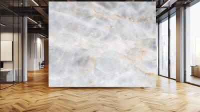 natural white marble texture for pattern Wall mural