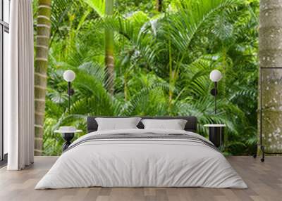 Lush green jungle background Wall mural