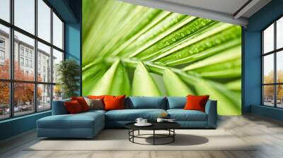 Lush green tropical background Wall mural