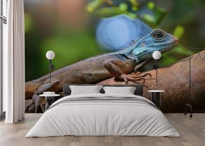 lizard on a tree Wall mural