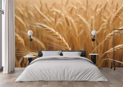 Golden wheat field with ripe ears of wheat, blurred background Wall mural