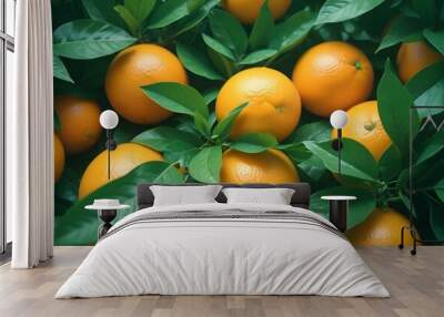 Ripe orange citrus fruits with green leaves, close-up Wall mural