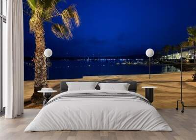 palm trees at night Wall mural