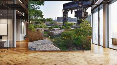 A park in Roosevelt Island with a bridge in the background. The bridge is tall and black. The park is full of trees and plants, New York Wall mural