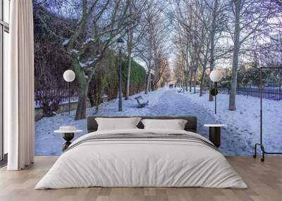 Frozen path, benches, and trees in a snowy pa Wall mural