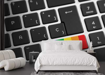 Computer keyboard with one of the keys with the LGBT flag Wall mural