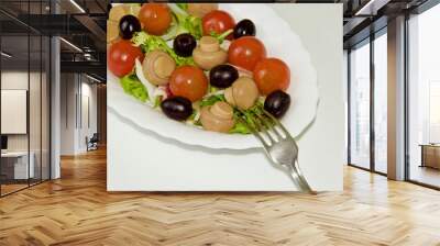 Vegetable salad with olive oil Wall mural