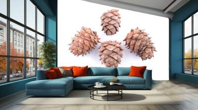 cedar cones on a white background Wall mural