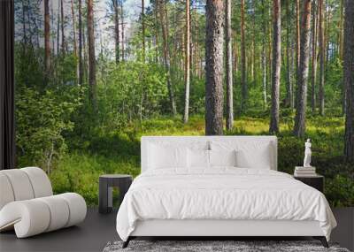 in the forest. summer Wall mural