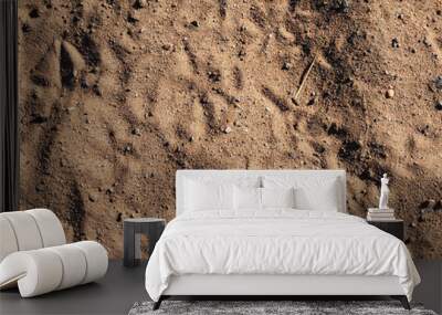 sand. background Wall mural