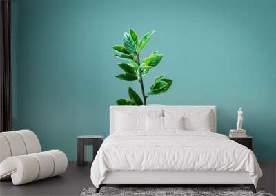 Plant growing in Euro bill for money growth and European economy concept Wall mural