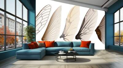 insect wings Wall mural