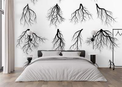 Set of tree roots Wall mural