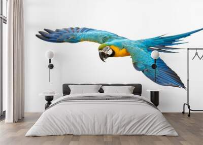 blue and gold macaw isolated on white background Wall mural