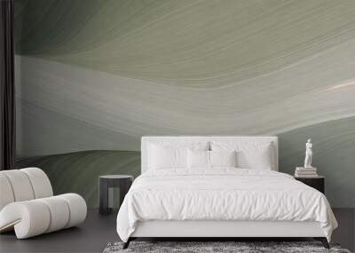 energy colorful curves header design with ash gray silver and dark slate gray colors can be used as header or banner Wall mural