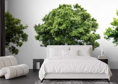 a set of bushy green trees with leaves on transparent background Wall mural