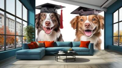 a set of cute dogs smiling and wearing a graduates hat, getting their diploma - on transparent background Wall mural