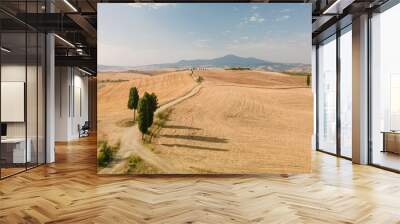 Aerial view of the Tuscany fields located in Italy seen on a beautiful sunny day Wall mural