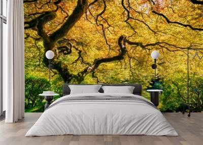 Amazing Green Tree Wall mural