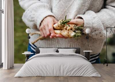 young woman with wool sweater holds freshly harvested horseradish from her own garden in her hands Wall mural