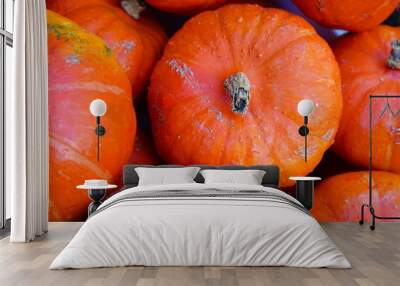 Colorful orange pumpkin squashes at a winter farmers market Wall mural