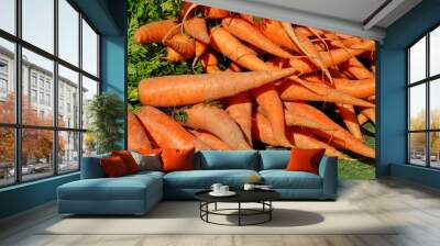 Fresh carrots bunches for sale at a farmers market Wall mural