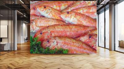 View of red mullet (rouget barbet) fish at a French seafood market Wall mural