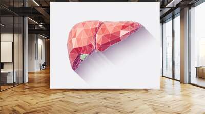 Liver faceted Wall mural