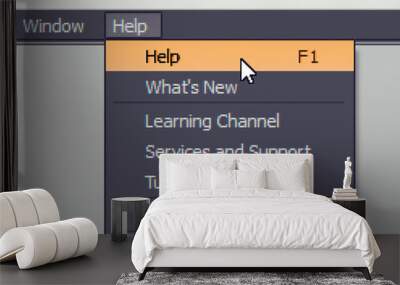 Software menu item with help (f1) command Wall mural