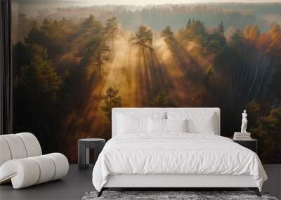 Foggy morning green pine forest scenery from drone aerial view nature background Wall mural