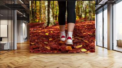 Close-up of legs of a alone woman hiking in the forest in autumn Wall mural