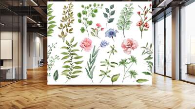 Watercolor illustration. Botanical collection of wild and garden plants. Set: leaves of flowers, branches, herbs and other natural elements. All drawings isolated on white background. Wall mural