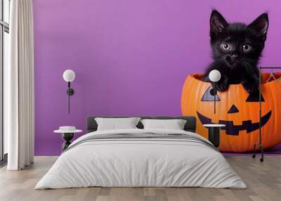 Black cat peeking out of halloween pumpkin on purple background with copy space, perfect for halloween party concepts Wall mural