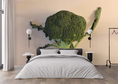 Green fresh organic broccoli on light pink background Wall mural