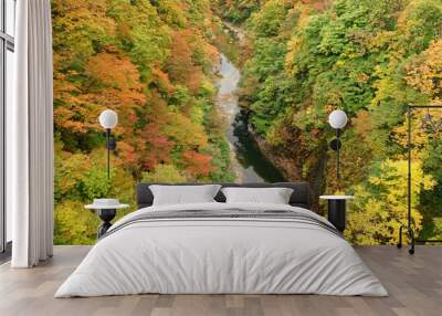 Beautiful red and yellow maple leaf at Oyasukyo gorge in Japan, aerial view - 紅葉したもみじ 小安峡 温泉 秋田県湯沢市	 Wall mural