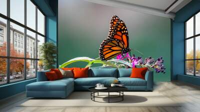 butterfly on flower Wall mural