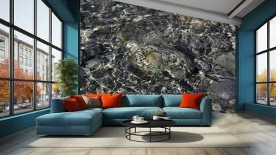 water flowing over stones Wall mural