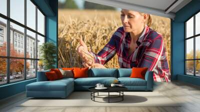 female farmer analysing wheat crop Wall mural