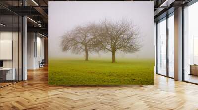 2 arbres dans la brume Wall mural