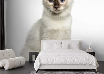 Front view of a Birman cat sitting isolated on white Wall mural