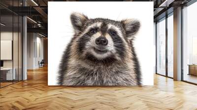 head shot of a young Raccoon facing at the camera, isolated Wall mural