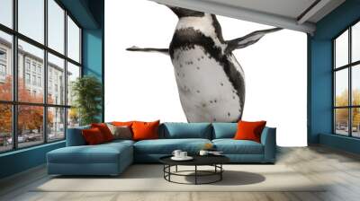 Humboldt Penguin, standing in front of white background Wall mural