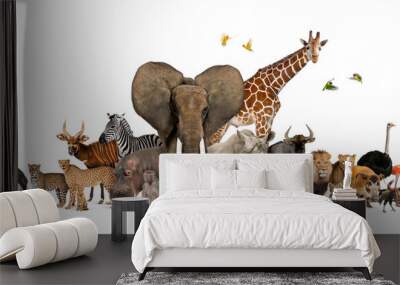 Large group of African fauna, safari wildlife animals together, in a row, isolated Wall mural