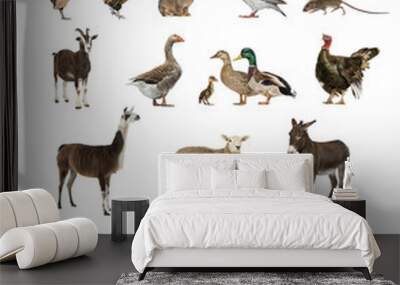 Poster of farm animals including a horse, cow, pig, sheep, goat, goose, rooster, hen, duck, and rabbit Wall mural