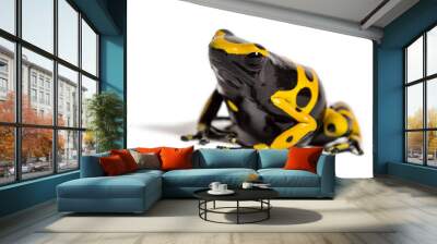 Yellow-banded poison dart frog, Dendrobates leucomelas Wall mural