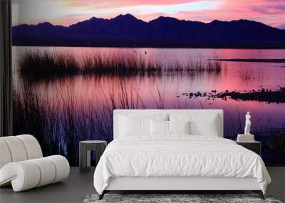 Lake Havasu Sunset Wall mural