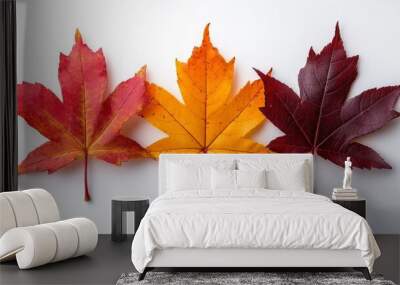 yellow orange red maroon autumn fall maple leaf leaves on white background Wall mural